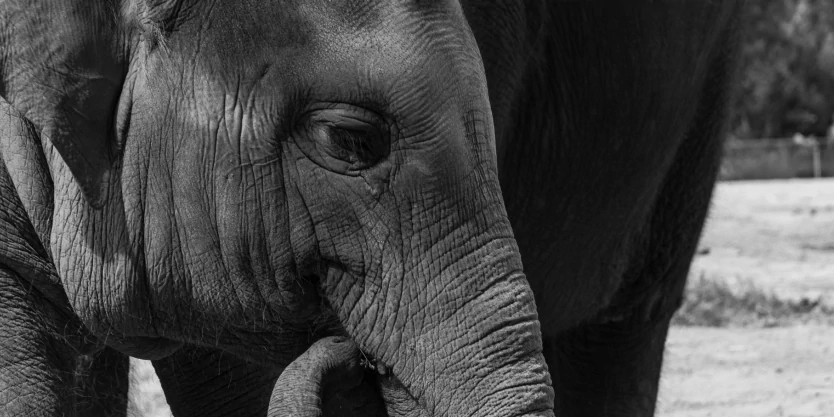 design-thinking-solutions-innovative-web-implementation