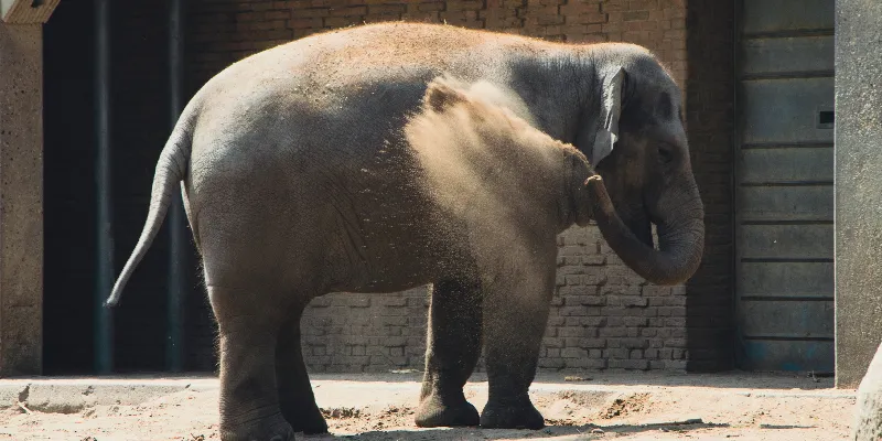 Konzeption-und-Formgebung-baut-auf-design-thinking-und-inklusive-Gestaltung