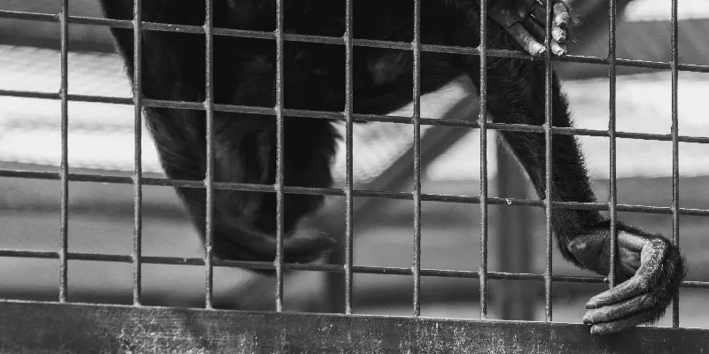 Konzeption-und-Formgebung